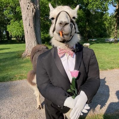 scentofdreambkk's profile picture. unknown