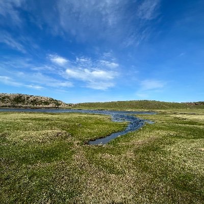 vl9528's profile picture. 一般人