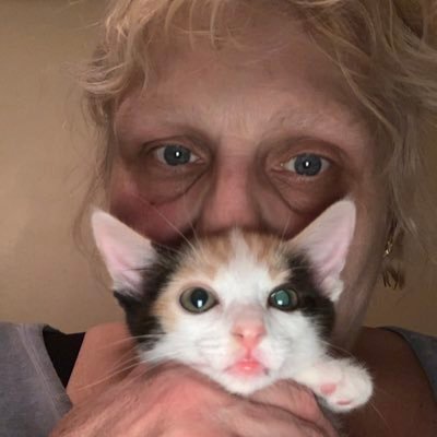 RN. Animal rescue/advocate Orphaned baby kitten. True Crime follower. Not affiliated with any political parties.protect children. against human trafficking.