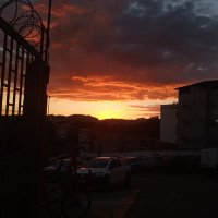 Lula molusco (@gleidver) 's Twitter Profile