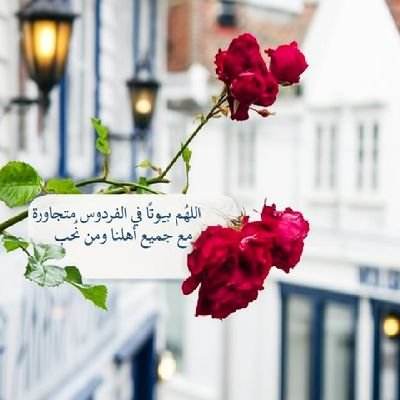 Raheeg30's profile picture. طيّب الله البقاء ، عمّر الله الأثر 🍁
