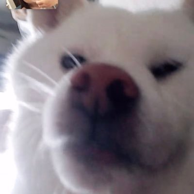 geroyamawantaro's profile picture. 🌞🌝 ｜自然と調和した生活と本質を追求することが好き｜本と柴犬も好き ｜ 👹