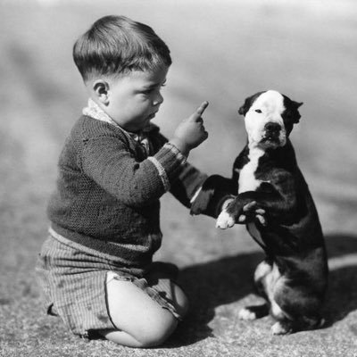 noo_Secret1's profile picture. 