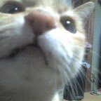 sanpin347taku's profile picture. 雑多アカ、メガネはtheo、komorebiが好き。😊 ゲームはスプラ3と桃鉄2よろしくお願いします。