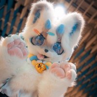 Tommytang (@lingquantang) 's Twitter Profile