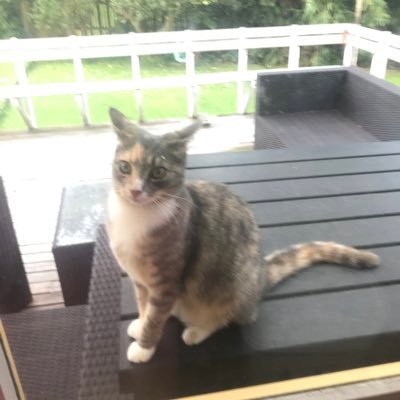 jody93275's profile picture. 