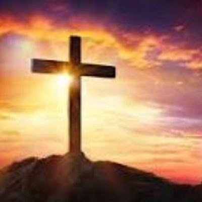 Harriso71646447's profile picture. 
