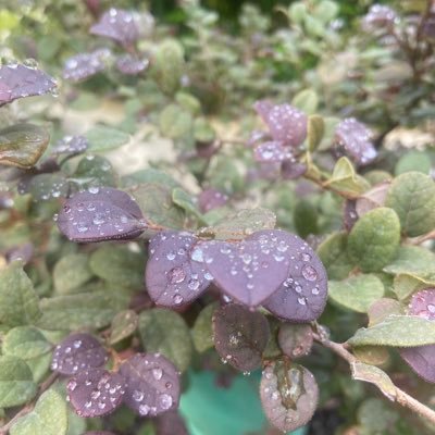 9947544848p's profile picture. HF 🚀. Versatile on bed. Love active sex after getting high 🚀🚀🚀🚀🚀. Ready to experiment without any regrets