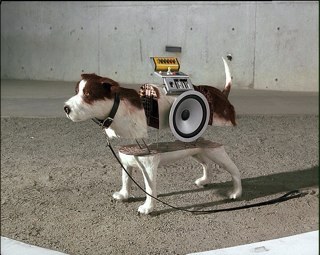 Stephen_shades's profile picture. 