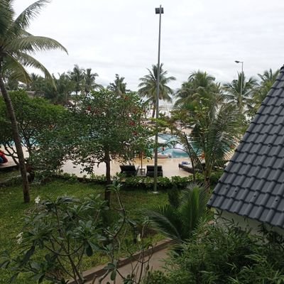 chemgio789's profile picture. ion
online + 
ice open network