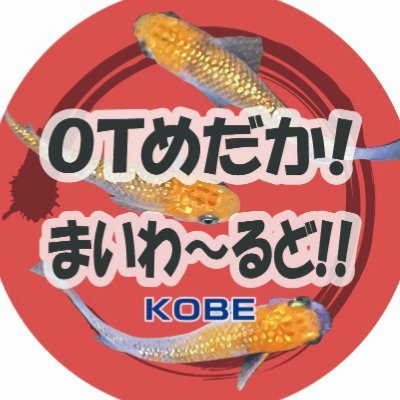 広がるめだかまいわ〜るど！！めだか垢です。よろしくお願いします！無言フォロー失礼致します。めだかのたまご🥚 販売ワンコインキャンペーン✨めだか🐟生体販売✨ #レモンの会 🍋2nd垢@otmedaka プレ垢&出会い&投資&アダルト🚫