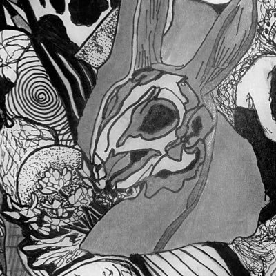 GrayLockbox's profile picture. Backup for @graybaank