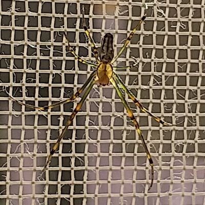 fukuppy110434's profile picture. 無言フォロー失礼します。