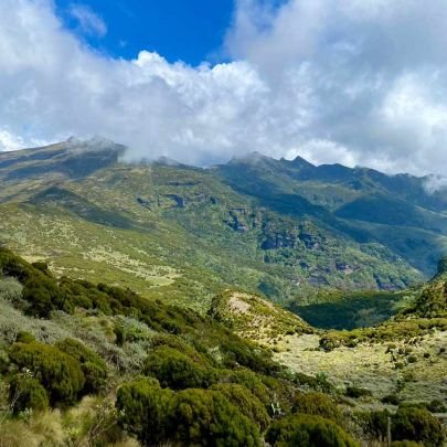 RuthJK_95's profile picture. Passionate about Humanity❤️