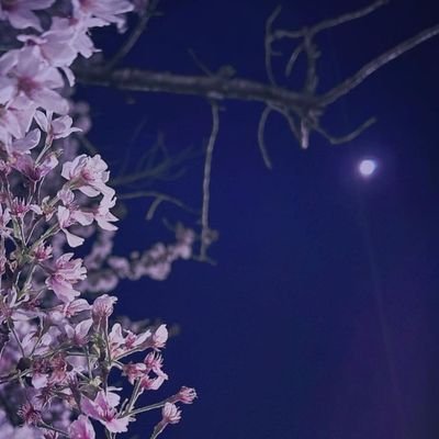 U_Ummmrrrr's profile picture. ※成人済20↑
推しカプを求めているロム専垢です。
原神(🌱🏛、❄️🔥、💧🔶)、文スト(🤕🎩)、ヘタリア(🇺🇸🇬🇧)、ラ★(6️⃣3️⃣、0️⃣8️⃣)、ブルロ(ngroメイン)、エイステ(tiiv寄りivti👈🏻どちらも見れます。)など