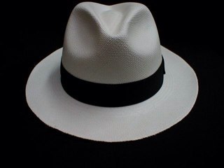 panamahatking's profile picture. 