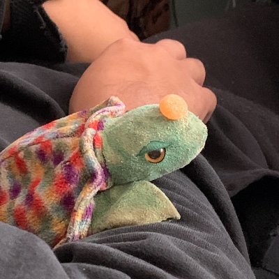 sleepyturtley's profile picture. a sleepy turtle named turtley