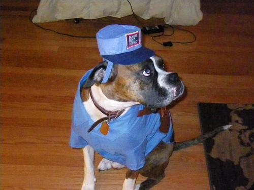 NVanderloop's profile picture. 