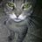 simonaolmeo's profile image
