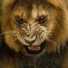 Phyxius5's profile picture. Child of God,Jesus loving patriot, husband, father, brother, son.
PHYXIUS means.....put into flight!!