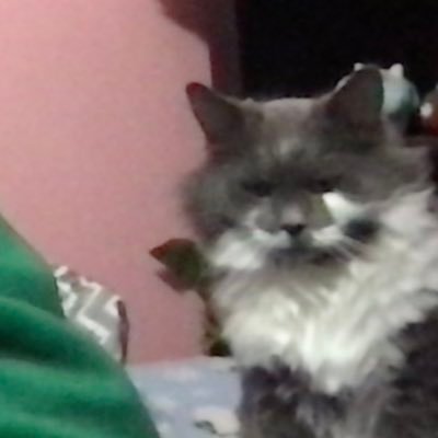 teatimewithtcal's profile picture. :-)