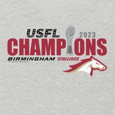 Keep Updated About The 2022 & 2023 USFL CHAMPIONS 🏆 The Birmingham Stallions #GiddyUp