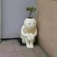 Frases con las que me identifico pero no lo admito (@feryfrog) 's Twitter Profile Photo