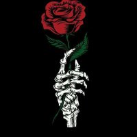 FÃVÖÜR ❤️ 🌹 (@itzplae) 's Twitter Profile