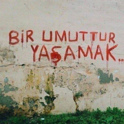 Bir umuttur yaşamak ❗️” #Arşipel