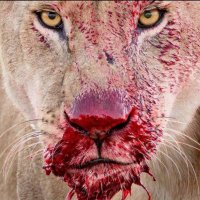 Chaitanya (@bbm_dedhshaana) 's Twitter Profile Photo Chaitanya (@bbm_dedhshaana) 's Twitter Profile Photo