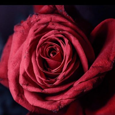 TechXeno4's profile picture. Welcome to the world of TechXeno !