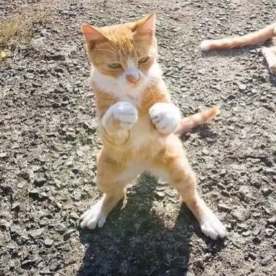 Layerbean's profile picture. 