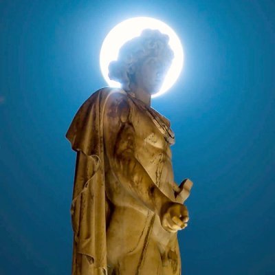 ratecuckeddog11's profile picture. 