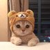❤️ (@my_happiness20) Twitter profile photo ❤️ (@my_happiness20) Twitter profile photo