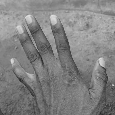 alanoflaureoc's profile picture. A backup ACC for a standing twitter ACC