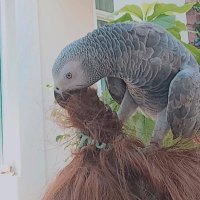 ∞ (@piggydolly) 's Twitter Profile Photo ∞ (@piggydolly) 's Twitter Profile Photo