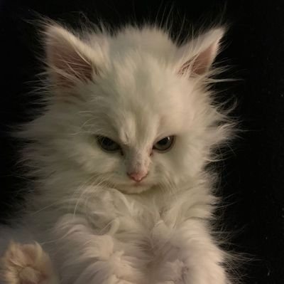 tingyourluve's profile picture. Just one day at a time.
@Tingsndings (main account)