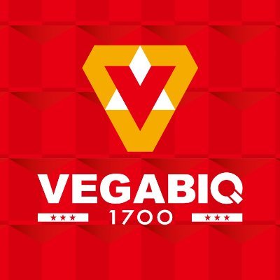 vegabiq_0808 Profile Picture