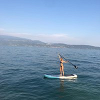 Stephanie (@stephanie51laws) 's Twitter Profile