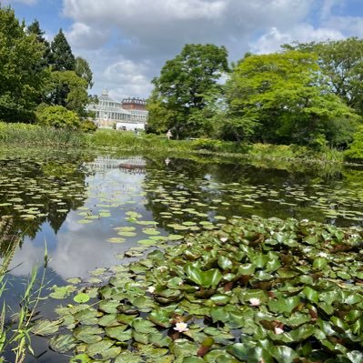 MarieDlvd's profile picture. 