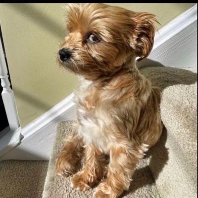 mystic_nubian's profile picture. Lover, Supporter, Observer, Giver,  Helper!!💙💚💛💜💗💝