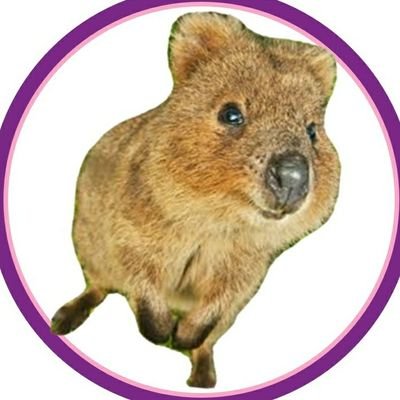 いっちゃん🌸 (@Icchanchaan) / Posts / X