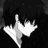 Profile image of Arham