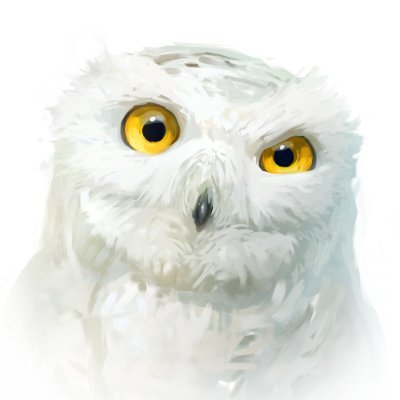 RHADSさんのプロフィール画像