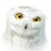 RHADS (@rhads001) Twitter profile photo RHADS (@rhads001) Twitter profile photo