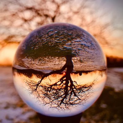 RezaAbedi2424's profile picture. crypto lover