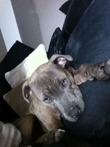 BitcoinC123's profile picture. 