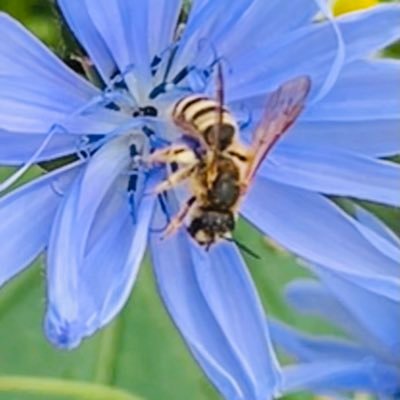 Jeradingarten's profile picture. Kochen und Garten mit Rinnerron