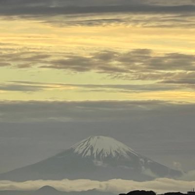 株初心者です。高値づかみが得意で、損切り貧乏です。Twitterで勉強したり、情報を集めたりしています。いつかは、こちらからも情報提供できるようになりたいです。★高値づかみをしない！★空売りを覚える★需給を確認