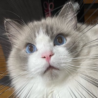 ふさんのプロフィール画像